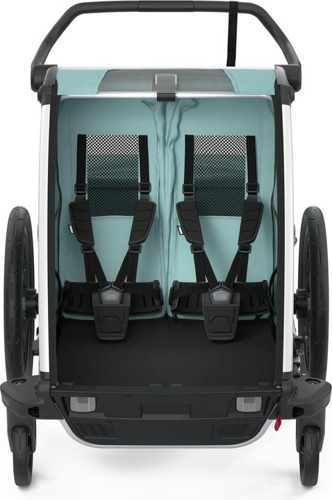 Actual product image Thule Chariot Cross 2