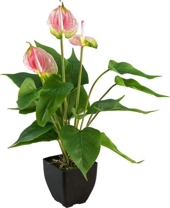 Image du produit Europalms Anthurium, plante artificielle, blanc rose
