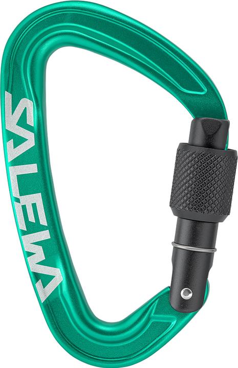 Salewa Ortles Screw Carabiner
