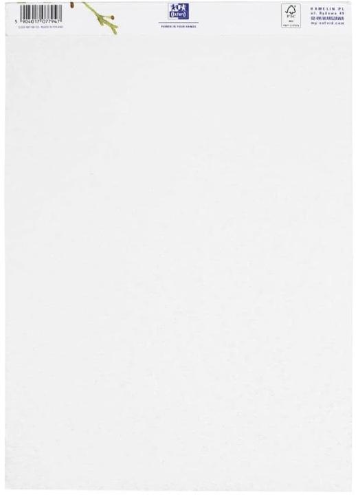 Actual product image Oxford Mixed media block (A4, Plain, Soft cover)