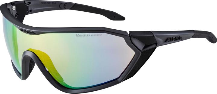 Image du produit ALPINA SPORTS S-Way V (Noir, Vert)