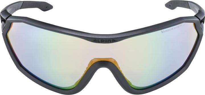 Image du produit ALPINA SPORTS S-Way V (Noir, Vert)