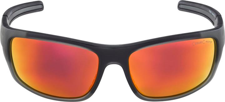 Produktbild ALPINA SPORTS Testido (Anthracite Matt, ceramic red)