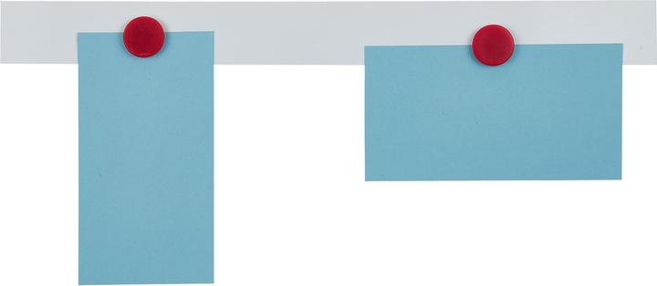 Immagine prodotto Franken Bordo magnetico (1 x)