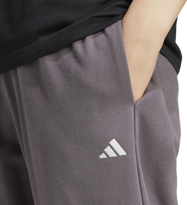 Image du produit adidas Essentials Small Logo French Terry (M)