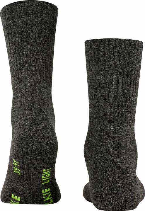 Actual product image Falke Socks Sporty (pack of 2, 44 - 45)