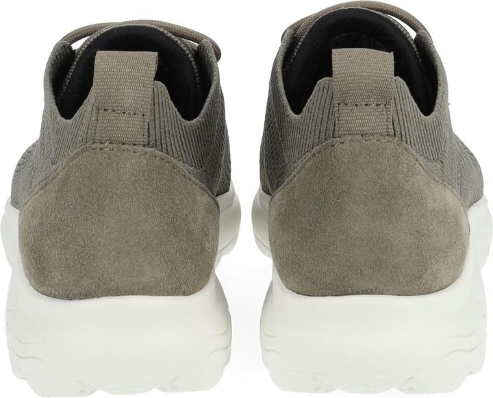 Image du produit Geox Sneaker (37)