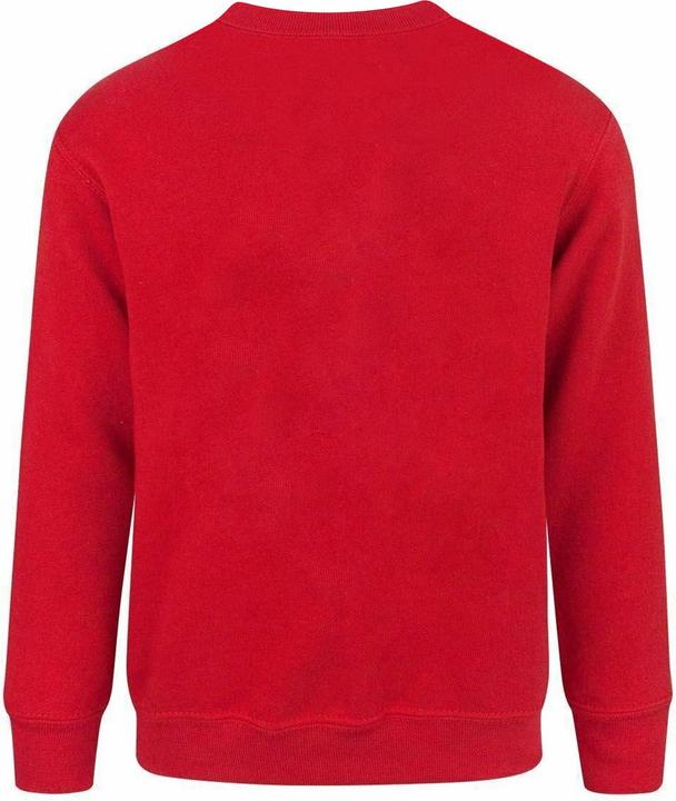 Actual product image Minecraft Childrens/Boys Official Like A Boss Sweatshirt (110)