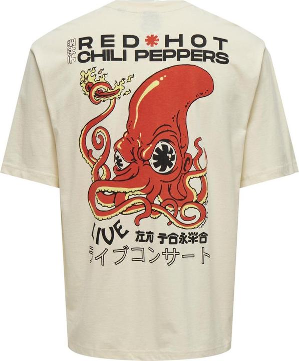 Actual product image Only & Sons Loose fit round neck T-shirt T-shirt (L)