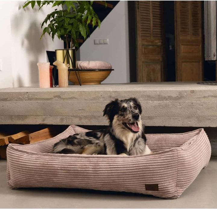 Actual product image Designed by Lotte Ribbed (Dog)