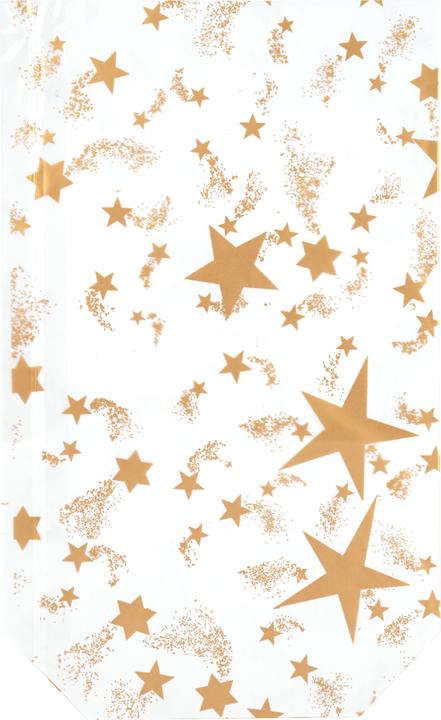 Actual product image Feldner + Partner Clear plastic bag large with stars, 10 pieces (10 x)