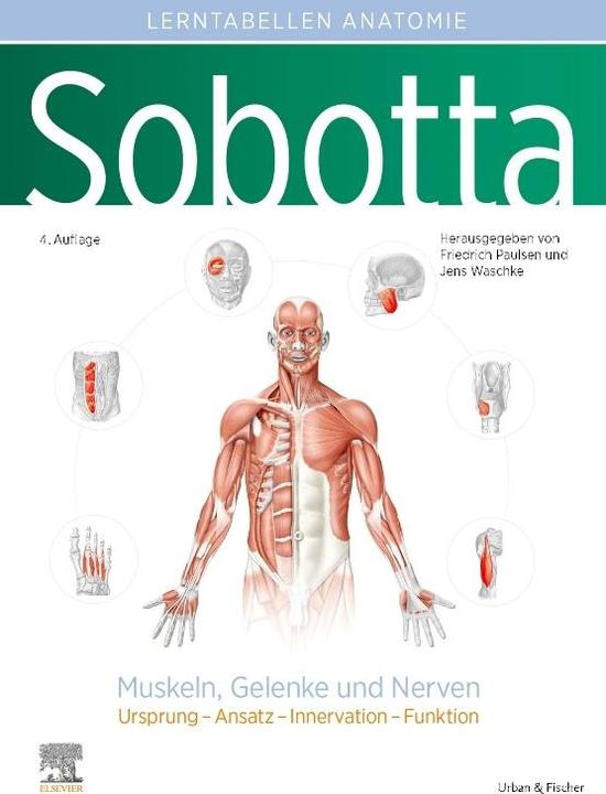Immagine prodotto Sobotta Lerntabellen Anatomie Muskeln, Gelenke und Nerven (Tedesco, Jens Waschke, Friedrich Paulsen, 2022)