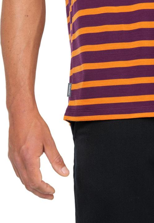 Image du produit Icebreaker M Tee Drayden SS Stripe (M)