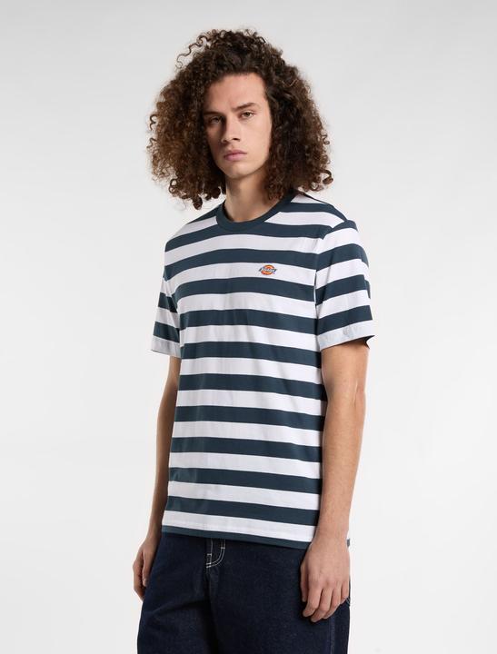 Actual product image Dickies Rivergrove Ss Tee Air Force Blue (L)