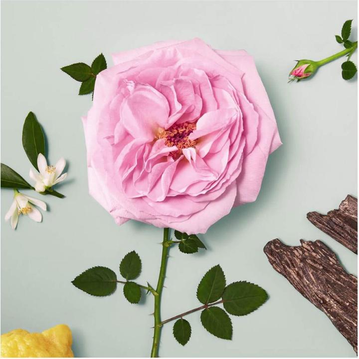 Immagine prodotto Chloé Eau de Parfum Naturelle (Eau de parfum, 30 ml)