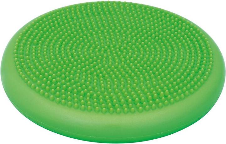 Produktbild Schildkröt Balance Kissen