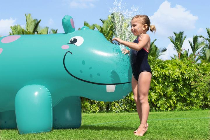 Actual product image Bestway Hippo