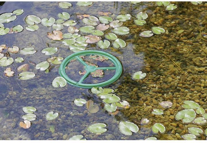 Image du produit Pontec Anneau de nourriture pour poissons