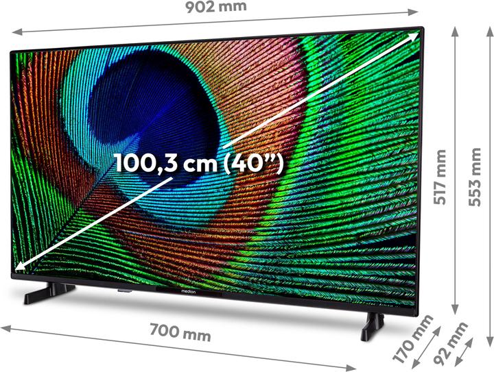 Actual product image Medion LIFE P14031 (MD 29242) Android TV™ (40", LCD, Full HD)