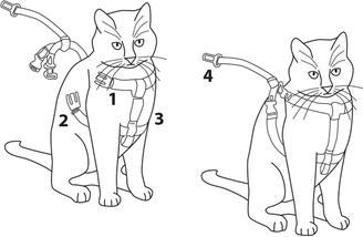 Image du produit Karlie Harnais de sécurité pour voiture (Chat)