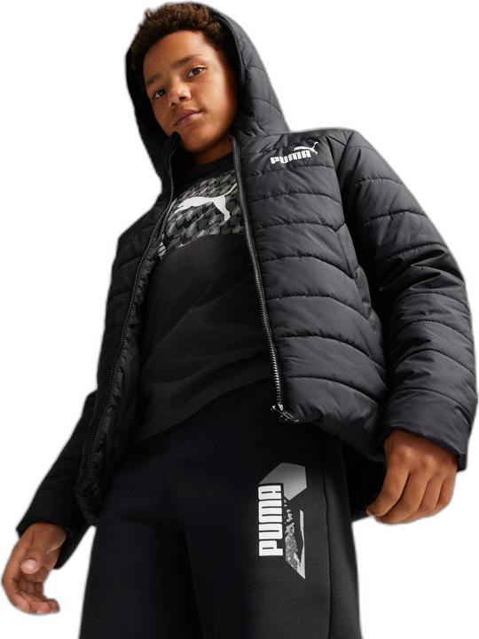 Image du produit Puma Veste ESS Padded (128)