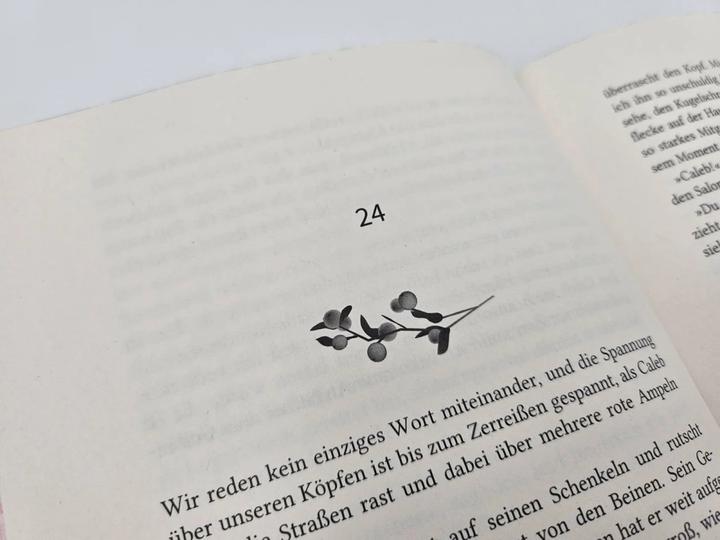 Produktbild Hidden Scars (Deutsch, Ayla Dade, 2024)