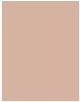 Produktbild Erborian BB Creme (Clair)