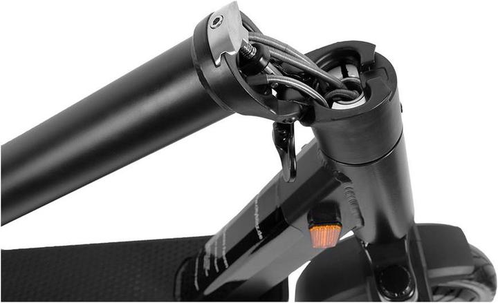 Actual product image CityBlitz Beast (20 km/h, 40 km, 350 W)