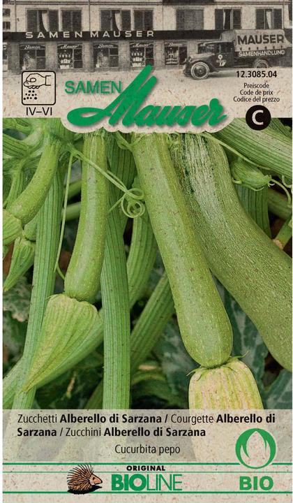 Produktbild Samen Mauser Zucchetti Alberello di Sarzana (Gemüsesamen)