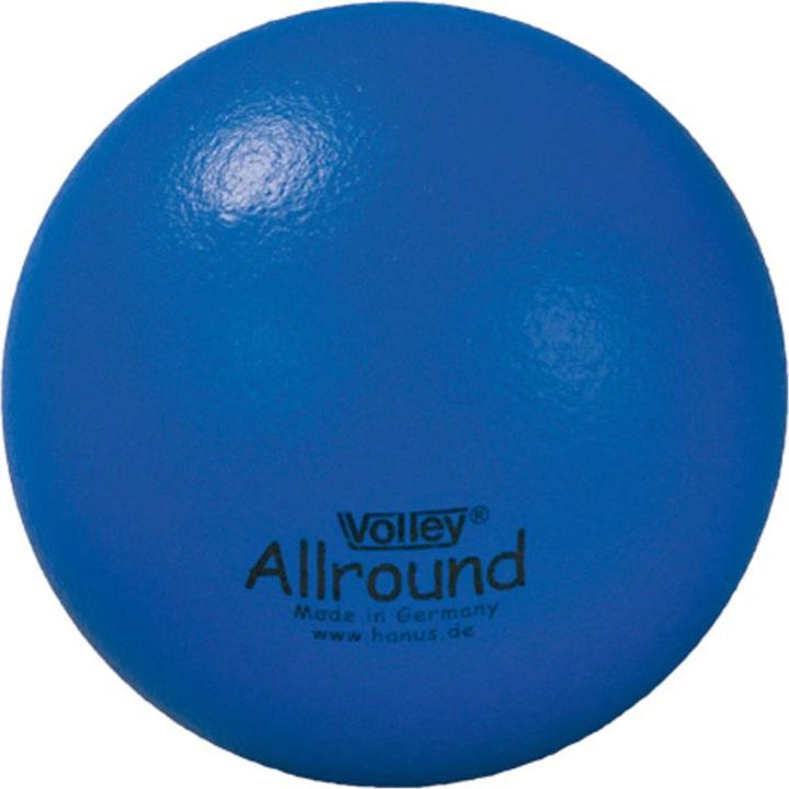 Actual product image Volley Softball