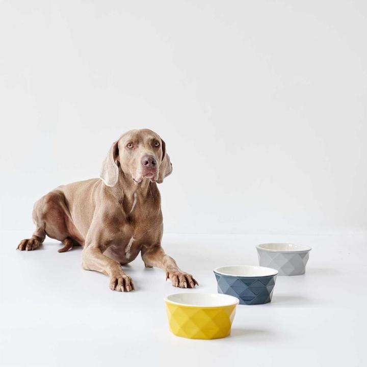 Actual product image Hunter Ceramic bowl Eiby (0.35 l)
