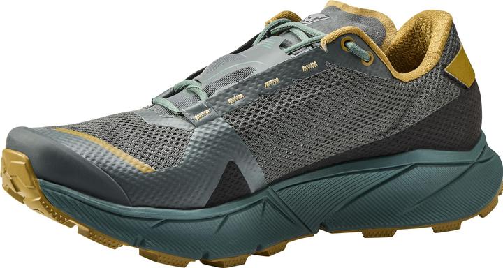 Produktbild Dynafit Ultra 100 GTX Laufschuh (45)