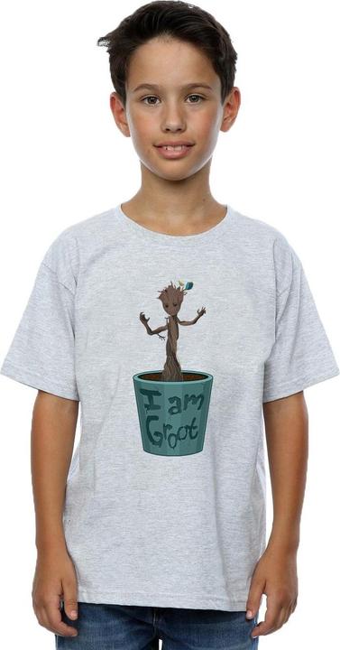 Actual product image Boys Guardians Of The Galaxy Groot Flower Pot T-Shirt (140, 146)