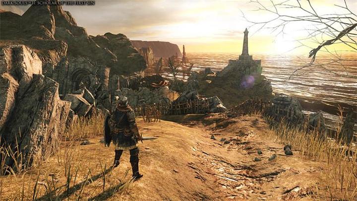 Actual product image Bandai Namco Dark Souls Trilogy, PS4 (PS4, DE, FR, IT)