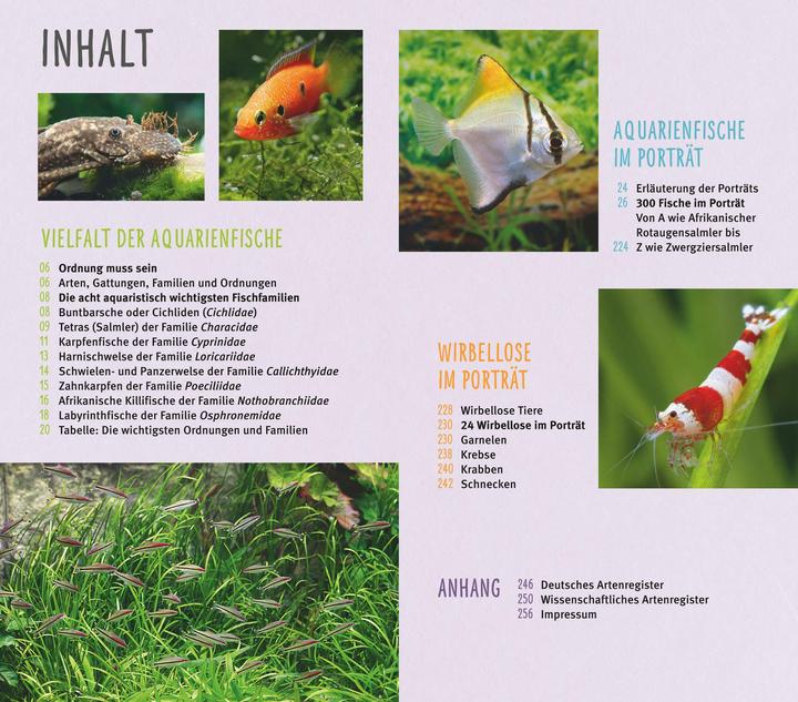 Immagine prodotto Aquarienfische von A bis Z (Tedesco, Ulrich Schliewen, 2017)