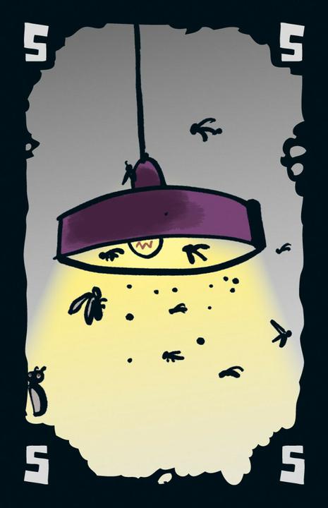 Actual product image Drei Magier Spiele Cheating moth (German)