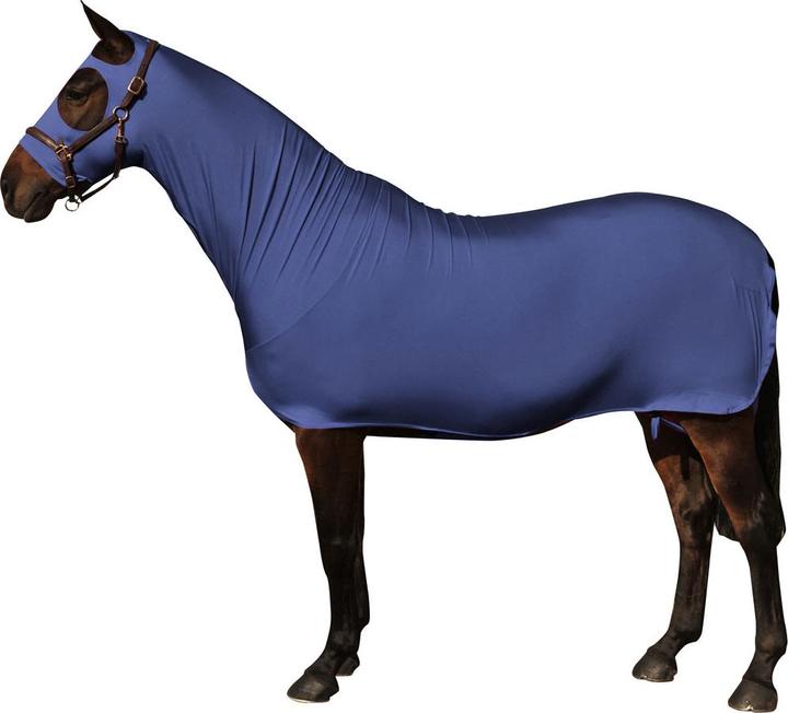 Bleu marine