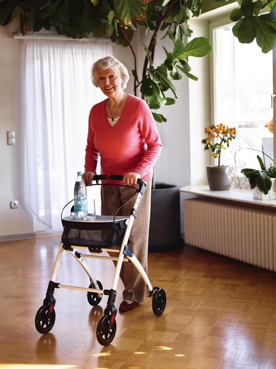 Immagine prodotto Ridder Indoor