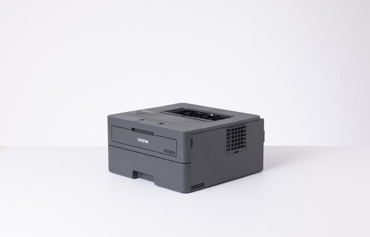 Produktbild Brother HL-L2400DW (Laser, Schwarz-Weiss)