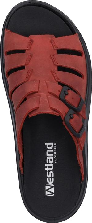 Immagine prodotto Westland 18304-348 (42)