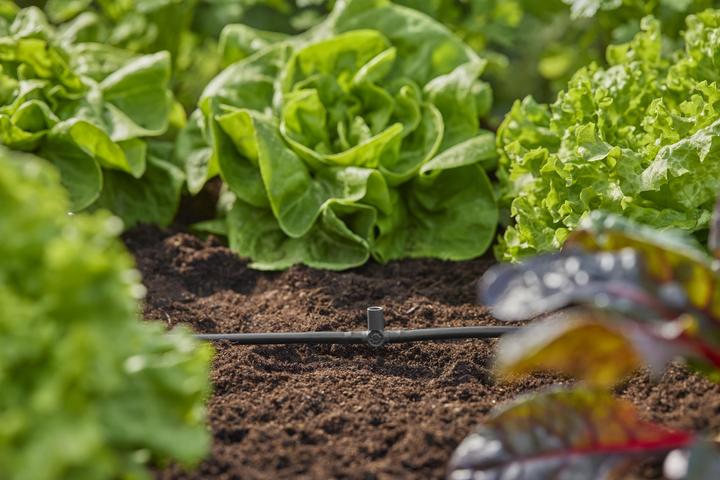 Actual product image Gardena Micro-Drip-System T-piece for spray nozzles (Drip irrigation connector + branch)