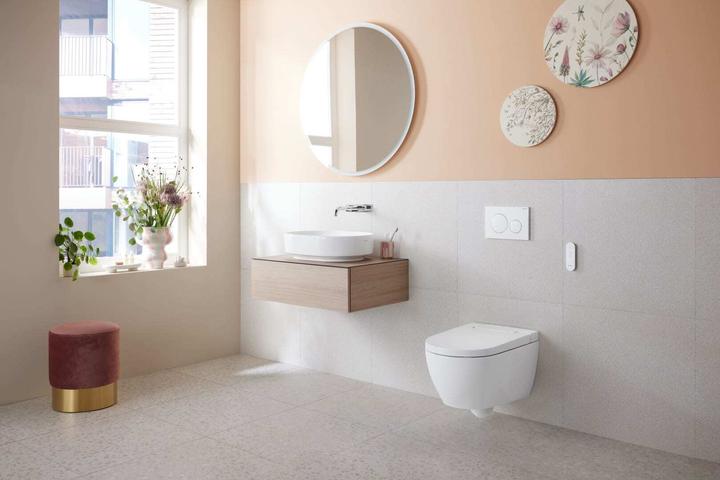 Actual product image Geberit Alba