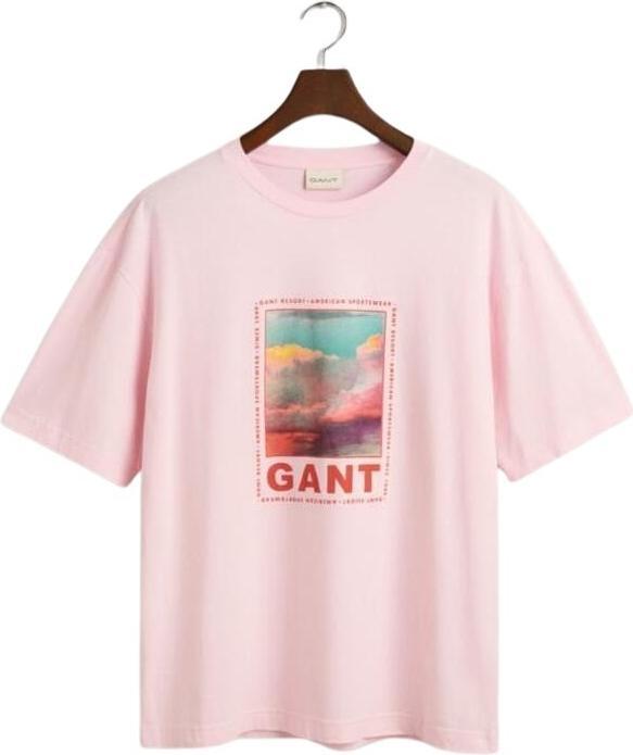 Produktbild GANT t-hirt wahed graphic (S)