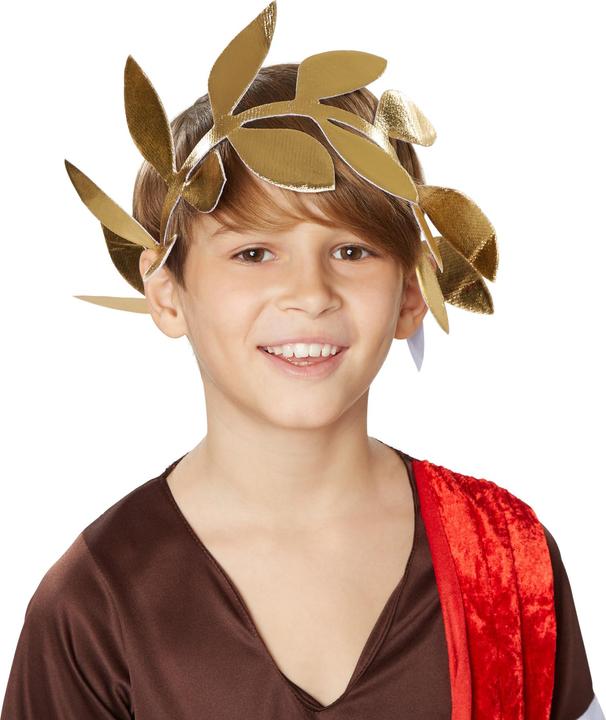 Image du produit Dressforfun Costume d’empereur romain Maximus pour garçon (116)