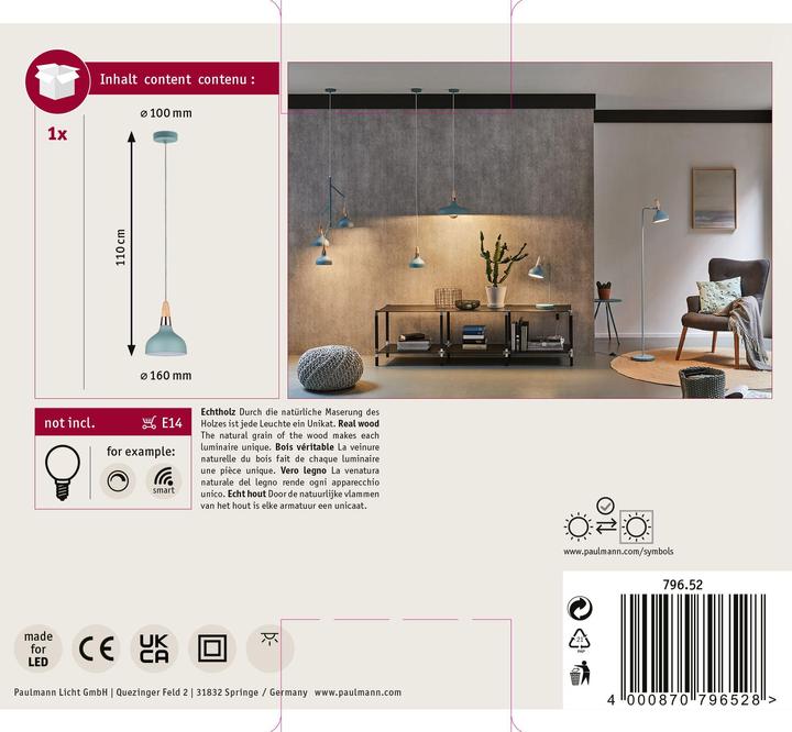 Actual product image Paulmann Neordic Juna (E14)