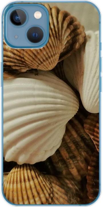 Muscheln