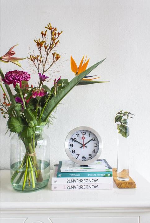 Immagine prodotto Nextime Arabo (19 cm)