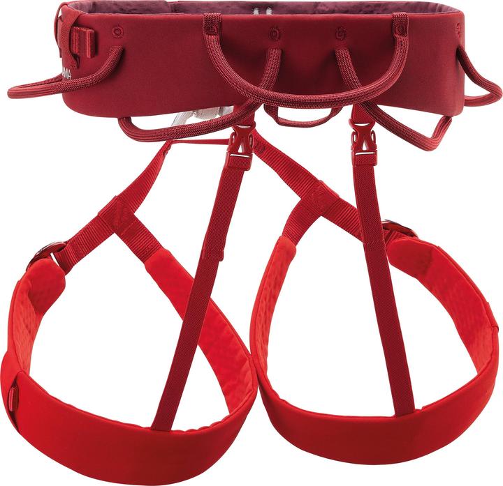 Actual product image Petzl Adjama (L)