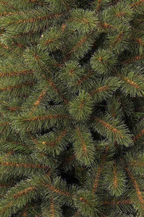 Immagine prodotto Triumph Bristlecone (215 cm)