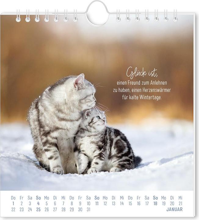 Immagine prodotto Postkartenkalender 2026 Auf leisen Pfot (16 x 17 cm, Tedesco)